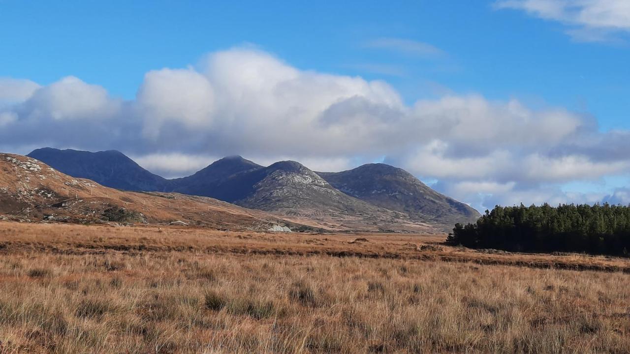 Clifden Wildflower Cottage - Clifden Countryside Lettings Экстерьер фото